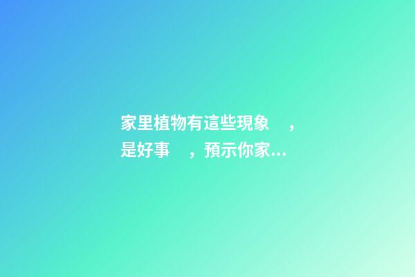 家里植物有這些現象，是好事，預示你家要發大財了！